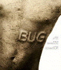 Bug